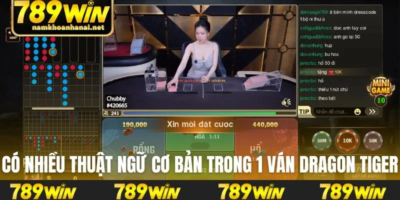 Có nhiều thuật ngữ cơ bản trong 1 ván Dragon Tiger
