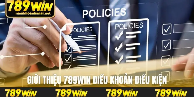 Giới thiệu 789WIN điều khoản điều kiện
