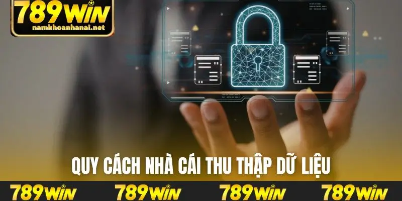 Quy cách nhà cái thu thập dữ liệu