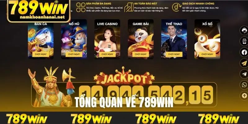 Tổng quan về 789WIN